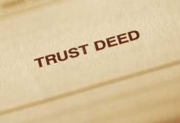 The Irrevocable Protection Trust 